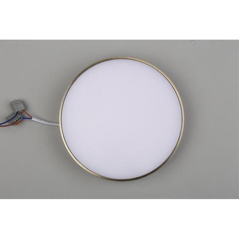 Потолочный светодиодный светильник Aployt Evon APL.0114.29.24