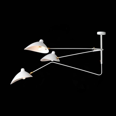 Люстра потолочная ST Luce Spruzzo SL305.502.03