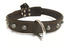 ZooMaster ошейник 30 подверн. фурнит. 50см