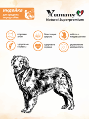 Yummy Linea сухой корм для взрослых собак средних пород (индейка) 2,5 кг