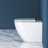 Унитаз безободковый приставной BelBagno SFERA-R BB2141CBR