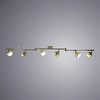 Спот Arte Lamp Venerd A6009PL-6AB