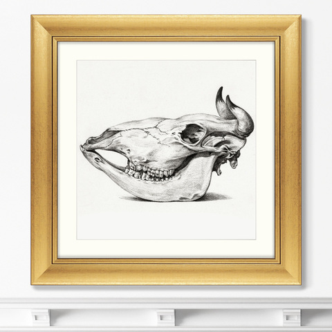 Жан Бернар - Репродукция картины в раме Skull №I, 1816г.