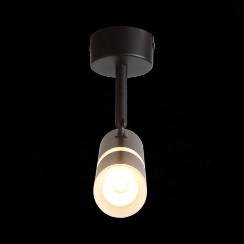 Светильник потолочный ST Luce ST106.402.08