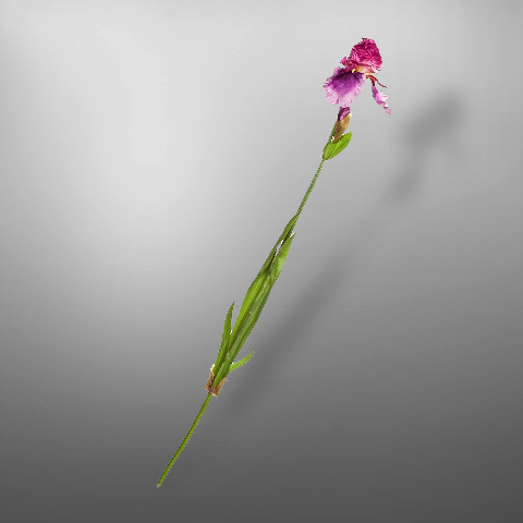 Искусственный цветок Ирис Silk-Ka 104716