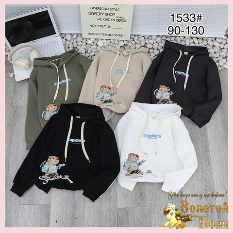 Толстовка хл детская (2-6) 250718-RN2089