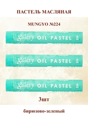 Пастель масляная мягкая профессиональная MUNGYO Gallery Бирюзово-зеленый №224 (3шт)