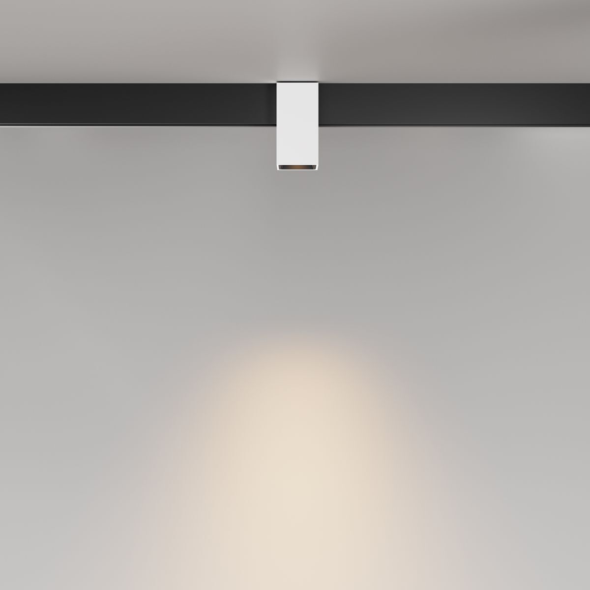 Трековый светодиодный светильник Maytoni Technical Magnetic Exility Alfa TR121-2-7W3K-W