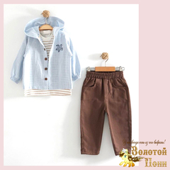 Костюм 3ка мальчику (2-5) 260119-SL6185