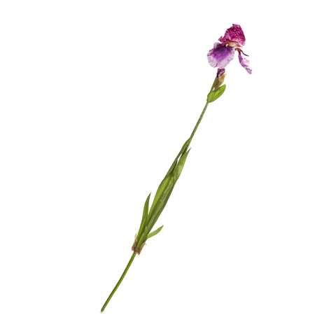 Искусственный цветок Ирис Silk-Ka 104716