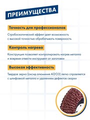 Круг лепестковый торцевой ПРАКТИКА стробоскопический 125 х 22 мм Р 60 серия Эксперт (922-876)