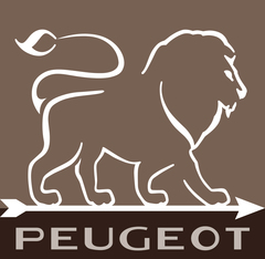 Мельница для соли PEUGEOT 18 см (сред., натур)