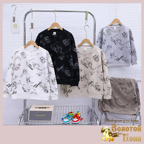 Толстовка хлопок м (7-12) 241214-FG134