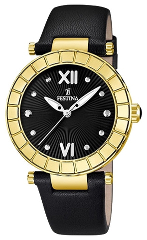 Наручные часы Festina F16647/3 фото