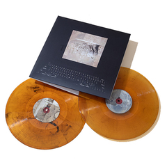 Lambchop / The Bible (Coloured Vinyl)(2LP)