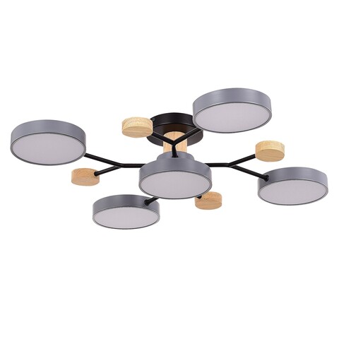 Светильник потолочный Evoluce Faema SLE6006-702-05