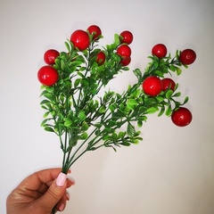 Зелень с ягодками красная