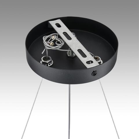 Подвесная люстра Lumion LUAZANA 8242/6