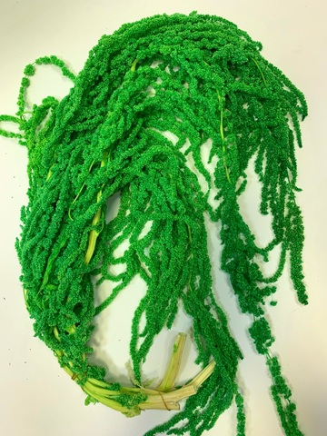 Амарант стабилизированный Нефритово-зеленый