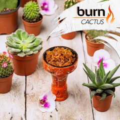 Burn - Cactus (200g)