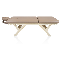 Массажный стационарный стол Mizomed Boast-Tilt SBT1S30