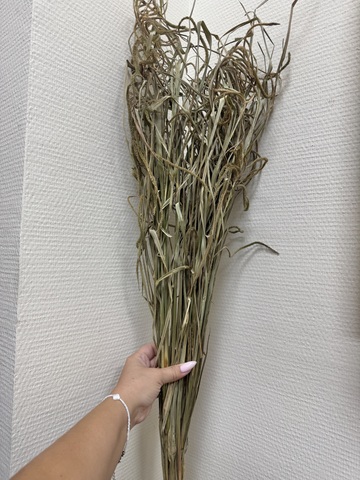 Трава осока сухоцвет Натуральный