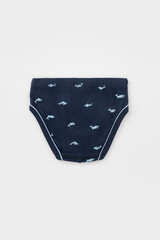 трусы/ уп  для мальчика  К 1928-3уп/серо-голуб.меланж,небесный,акулы