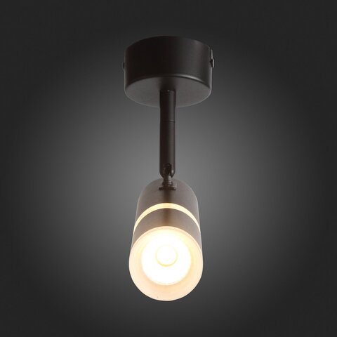 Светильник потолочный ST Luce ST106.402.08