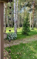 Дождевая цепь 