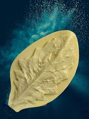 Молд 