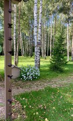 Дождевая цепь 