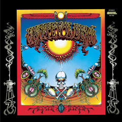 Grateful Dead / Aoxomoxoa (LP)