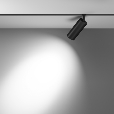 Магнитный трековый светильник Maytoni Focus LED TR032-4-20WTW-S-DD-B