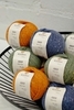 Пряжа ISEO Rodina Yarns