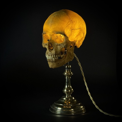 Настольная лампа «Череп человека»