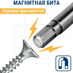 Бита отверточная ПРАКТИКА Профи HEX 4 х 50мм (2шт) (776-508)