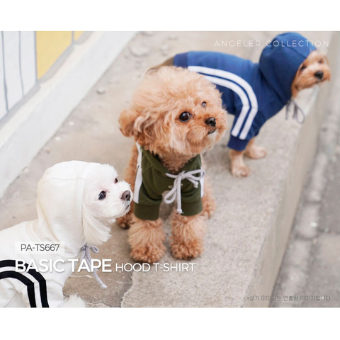 667 PA-TS Толстовка "SPORT PUPPY ANGEL"