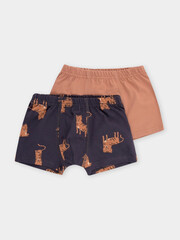 набор трусы/ уп  для мальчика  К 1930-2уп/индийский загар,темно-серый,тигры