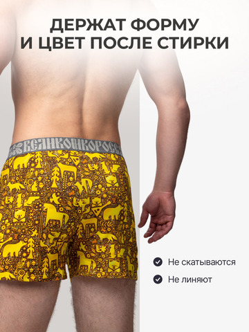 Комплект из 3-х семейных трусов - «Золотой лес»