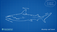 Ultimate Fishing Simulator - Thailand (для ПК, цифровой код доступа)