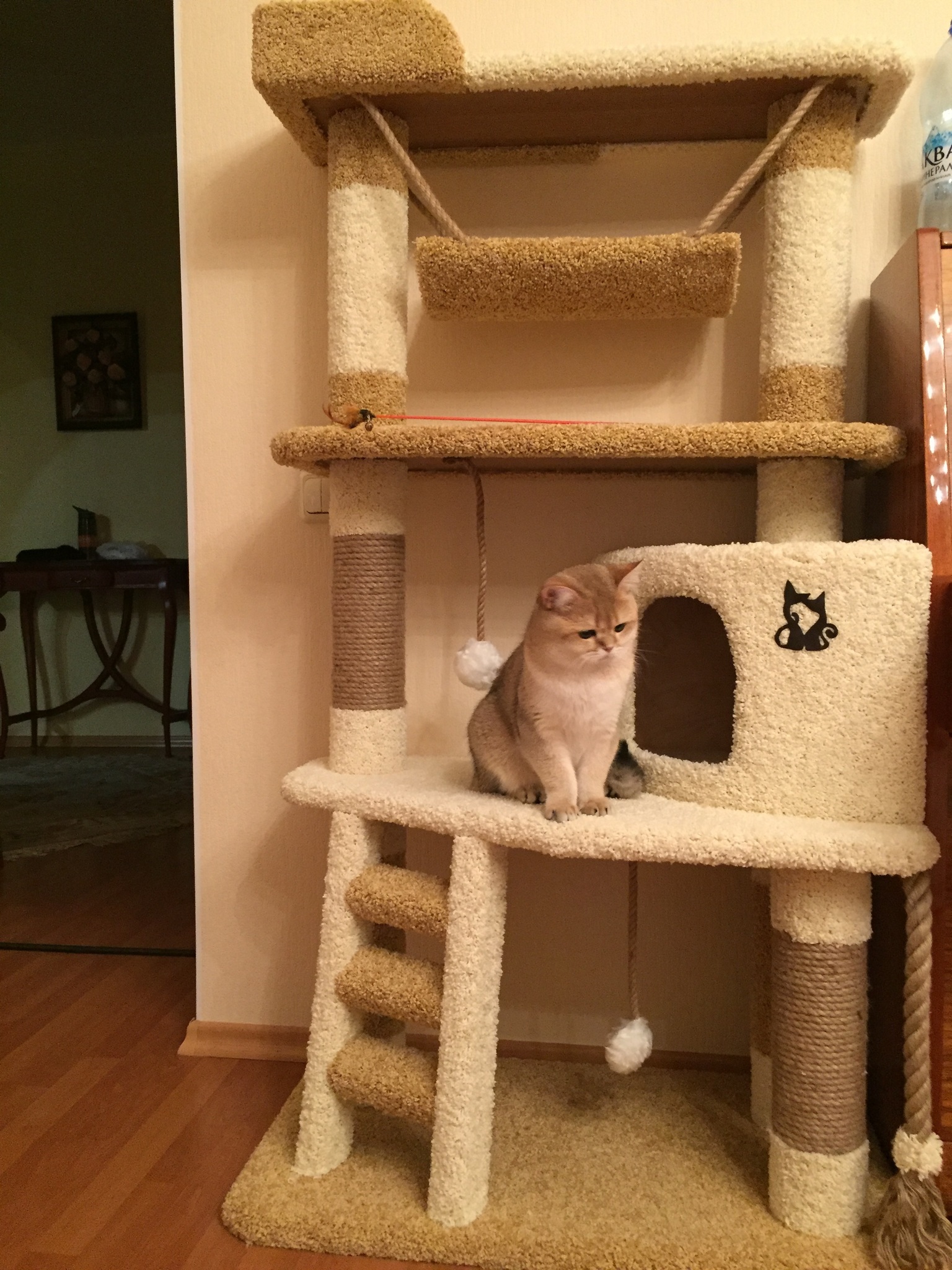 Высокие игровые комплексы для кошек