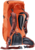 Картинка рюкзак туристический Deuter Climber 22 Papaya/Redwood - 8