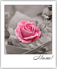 Мини-открытка, Маме, (Роза), 7*7 см, 10 шт.