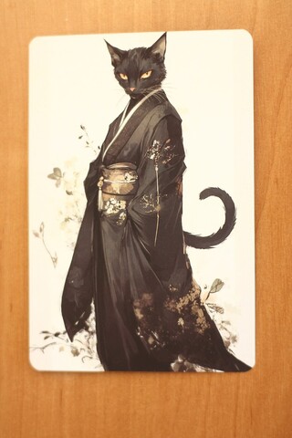 Кот в кимоно