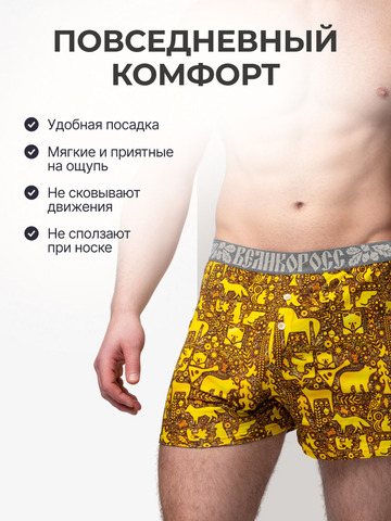 Комплект из 3-х семейных трусов - «Золотой лес»