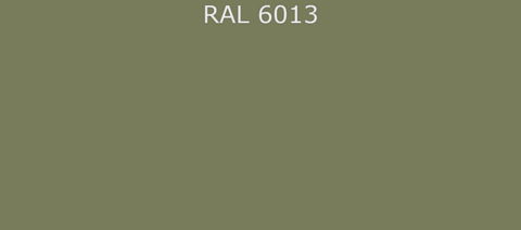 Грунт-эмаль RAL6013