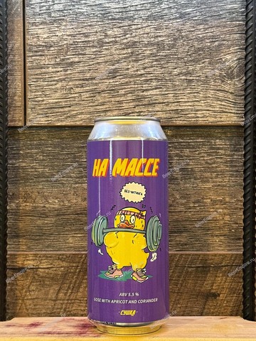 Magic Mess На Массе абрикос, кориандр Gose 0,5 л. ж/б