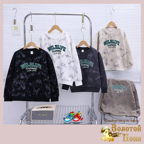 Толстовка хлопок м (7-12) 241214-FG142