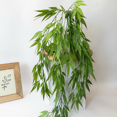 №2 Ампельное растение, зелень искусственная свисающая, зеленая, 73 см, набор 1 букет