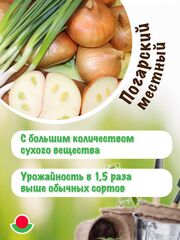 Лук-севок семейный Погарский местный улучшенный, 250 гр